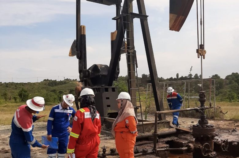 Badan Pemeriksa Keuangan (BPK) RI menyampaikan hasil pemeriksaan yang menunjukkan bahwa masih terdapat permasalahan signifikan yang harus menjadi perhatian Kementerian Energi dan Sumber Daya Mineral (ESDM) untuk segera diperbaiki (Ilustrasi).